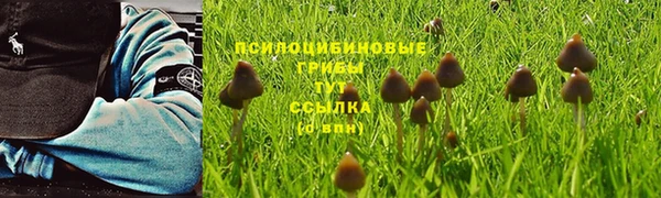 таблы Абаза